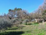  2569013-10746annonce120260630mCkWd.jpeg Maisons Open