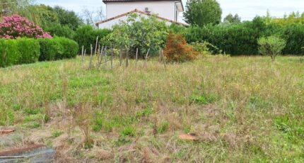 Plaisance-du-Touch Terrain à bâtir - 2572969-9555annonce120260703xSKO9.jpeg Maisons Open