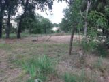 2575788-5202annonce220260706LMFFK.jpeg Maisons Open