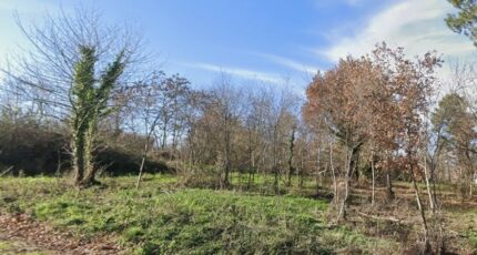 Grazac Terrain à bâtir - 2594314-6043annonce120260731kgn1G.jpeg Maisons Open