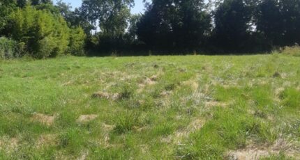 Gagnac-sur-Garonne Terrain à bâtir - 2597064-5202annonce220260805Z1U4c.jpeg Maisons Open