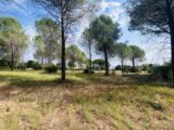  2596973-4529annonce2202608052PQv7.jpeg Maisons Open
