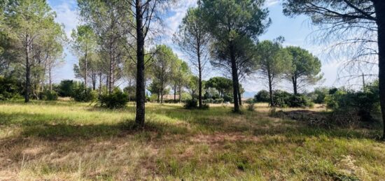 Terrain à bâtir à Roquebrune-sur-Argens, Provence-Alpes-Côte d'Azur