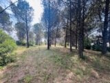  2596973-4529annonce320260805TH570.jpeg Maisons Open