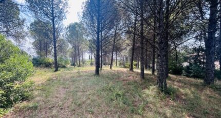 Roquebrune-sur-Argens Terrain à bâtir - 2596973-4529annonce320260805TH570.jpeg Maisons Open