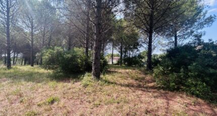 Roquebrune-sur-Argens Terrain à bâtir - 2596614-4529annonce220260805fuTAW.jpeg Maisons Open