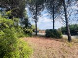  2596614-4529annonce120260805GiklV.jpeg Maisons Open