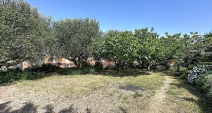 Roquebrune-sur-Argens Terrain à bâtir - 2597621-4529annonce420260806aTBwK.jpeg Maisons Open