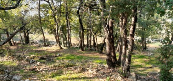 Terrain à bâtir à , Var