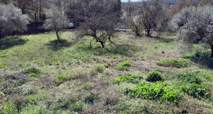 Brignoles Terrain à bâtir - 2556369-10746annonce220260619nAV07.jpeg Maisons Open