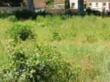  2603672-7054annonce320260819cEZXt.jpeg Maisons Open