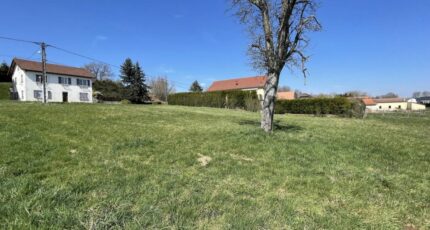 Montigny-sur-Loing Terrain à bâtir - 2554890-10224annonce320260618DWMqA.jpeg Maisons Open