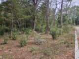  2613607-5163annonce4202609013PFwm.jpeg Maisons Open