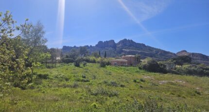 Roquebrune-sur-Argens Terrain à bâtir - 2613617-5163annonce120260411nV86g.jpeg Maisons Open