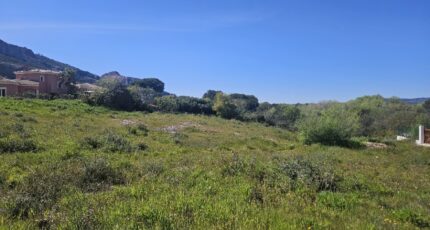Roquebrune-sur-Argens Terrain à bâtir - 2613617-5163annonce220260411vGRP2.jpeg Maisons Open