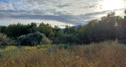 Montesquieu-des-Albères Terrain à bâtir - 2561883-4671annonce1202606236qQL6.jpeg Maisons Open
