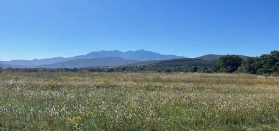 Terrain à bâtir à Llupia, Occitanie