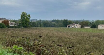 Poulan-Pouzols Terrain à bâtir - 2615471-2684annonce320260902q4wtI.jpeg Maisons Open