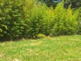  2615511-3575annonce220260902oDHMA.jpeg Maisons Open