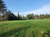  2615472-812annonce420241106Z61ZM.jpeg Maisons Open