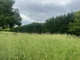  2615596-812annonce1202507259LvXC.jpeg Maisons Open