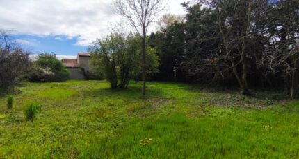 Montélimar Terrain à bâtir - 2615697-812annonce220260331qTGKr.jpeg Maisons Open