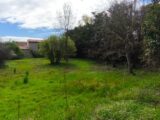  2615697-812annonce3202603311w6zF.jpeg Maisons Open