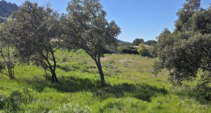 Roquebrune-sur-Argens Terrain à bâtir - 2619400-11157annonce1202609033532V.jpeg Maisons Open