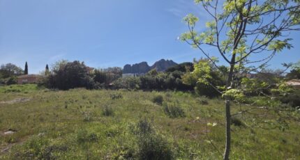 Roquebrune-sur-Argens Terrain à bâtir - 2619400-11157annonce220260903ZxIxL.jpeg Maisons Open