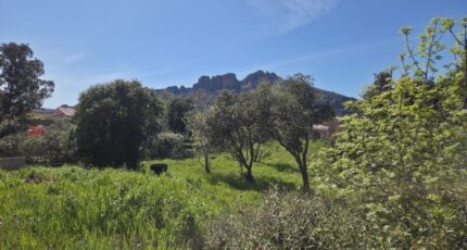 Roquebrune-sur-Argens Terrain à bâtir - 2619400-11157annonce320260903pideW.jpeg Maisons Open