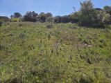  2619400-11157annonce420260903vB2dy.jpeg Maisons Open