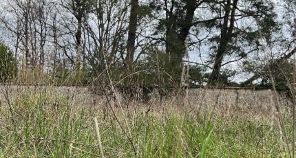 Chevreuse Terrain à bâtir - 2620677-11364annonce3202609045hOst.jpeg Maisons Open