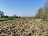  2619700-10261annonce220260409kB0UE.jpeg Maisons Open
