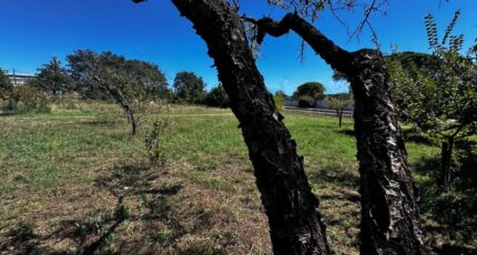 Puget-sur-Argens Terrain à bâtir - 2620373-3701annonce120260904EZTiT.jpeg Maisons Open