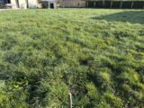  2620616-11356annonce320260904r25FG.jpeg Maisons Open