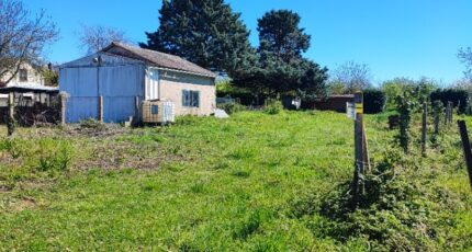 Saint-Florent-sur-Cher Terrain à bâtir - 2623114-11966annonce120260907rvAmt.jpeg Maisons Open