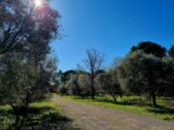  2623878-11017annonce120260908TVv77.jpeg Maisons Open