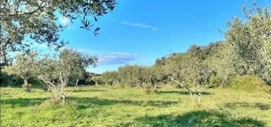 Terrain à bâtir à Saint-Siffret, Occitanie