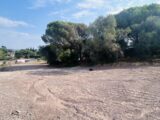  2598038-4529annonce120260807cTS0y.jpeg Maisons Open