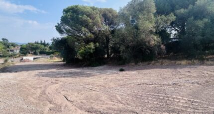 Roquebrune-sur-Argens Terrain à bâtir - 2598038-4529annonce120260807cTS0y.jpeg Maisons Open