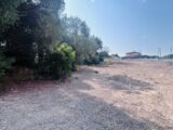  2598038-4529annonce320260807q2eL1.jpeg Maisons Open