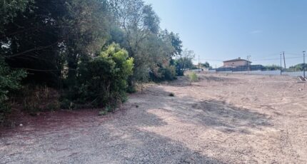 Roquebrune-sur-Argens Terrain à bâtir - 2598038-4529annonce320260807q2eL1.jpeg Maisons Open