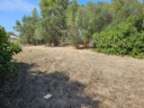  2625376-11078annonce320260908UBem2.jpeg Maisons Open