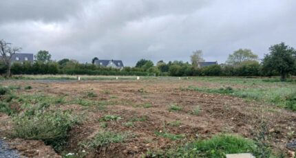 Saint-Étienne-la-Thillaye Terrain à bâtir - 2625497-11563annonce220260908FyqPk.jpeg Maisons Open