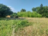  2625949-11157annonce1202609099taGp.jpeg Maisons Open