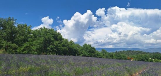 Terrain à bâtir à Roumoules, Provence-Alpes-Côte d'Azur