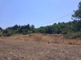  2601505-10746annonce1202608130woRo.jpeg Maisons Open