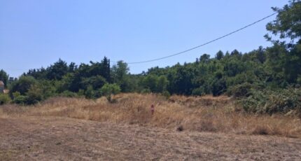 Rians Terrain à bâtir - 2601505-10746annonce1202608130woRo.jpeg Maisons Open