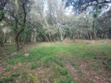  2633202-11137annonce2202504078t73m.jpeg Maisons Open