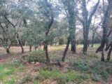  2633202-11137annonce420250407rAFyE.jpeg Maisons Open